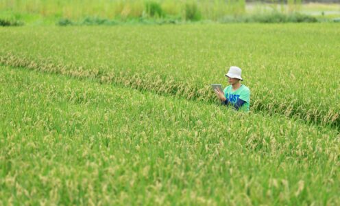サービスについて